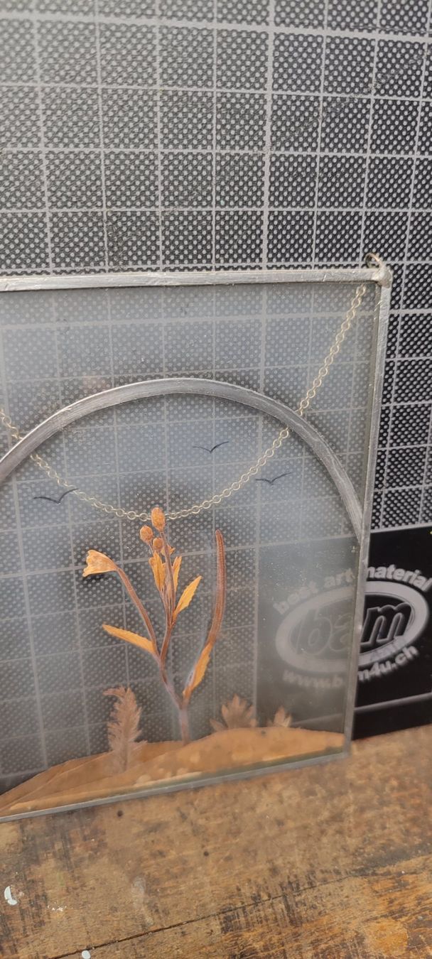 Foto & Immagini: 6 Wunderschöne alte Blumenbilder im Glas – Usato da Gelterkinden venduto da MYSTOREFORYOU4460 4