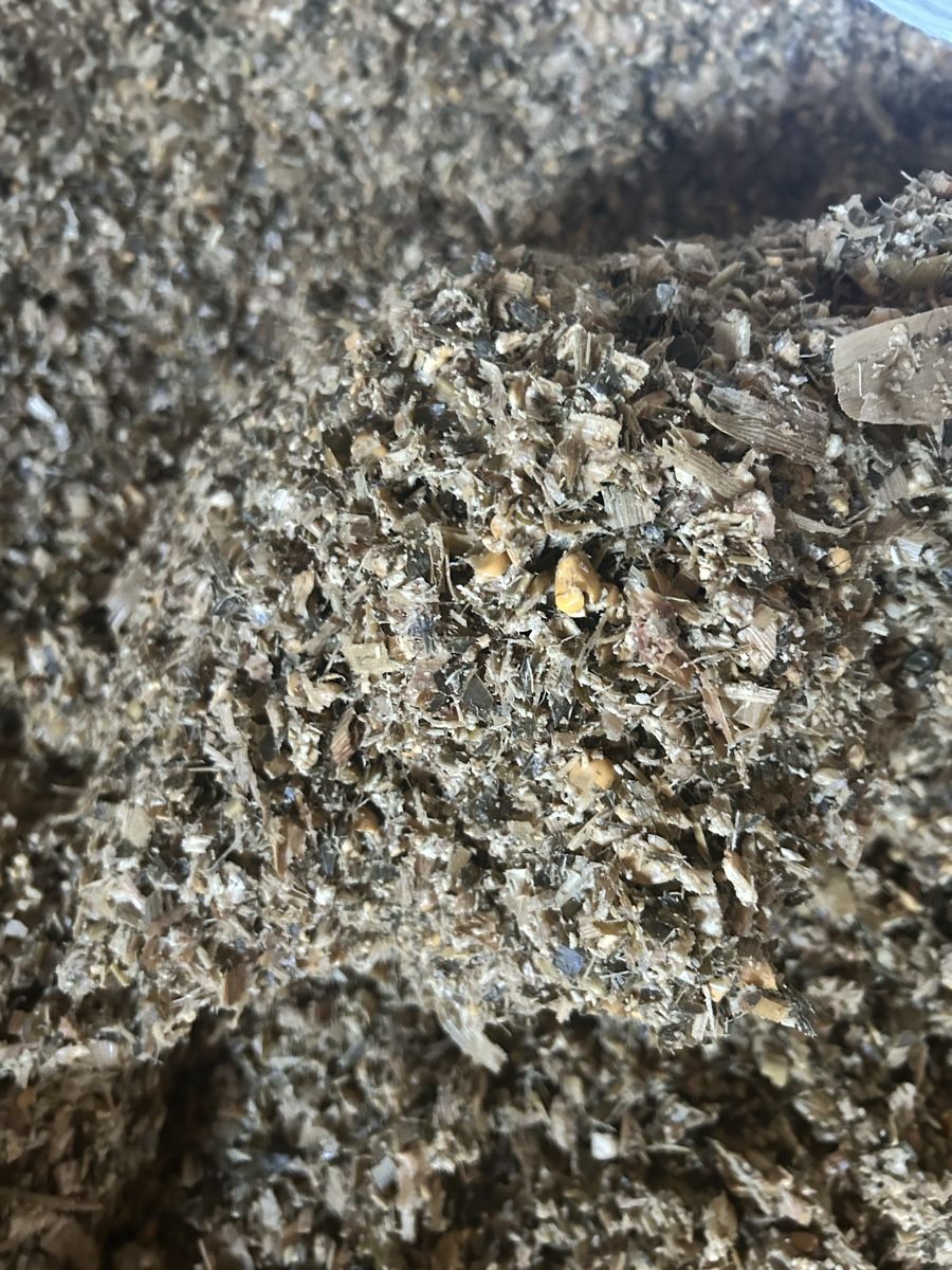 Mangimi: Maissiloballen – Nuovo e nell'imballaggio originale da Uster venduto da roli2424 1