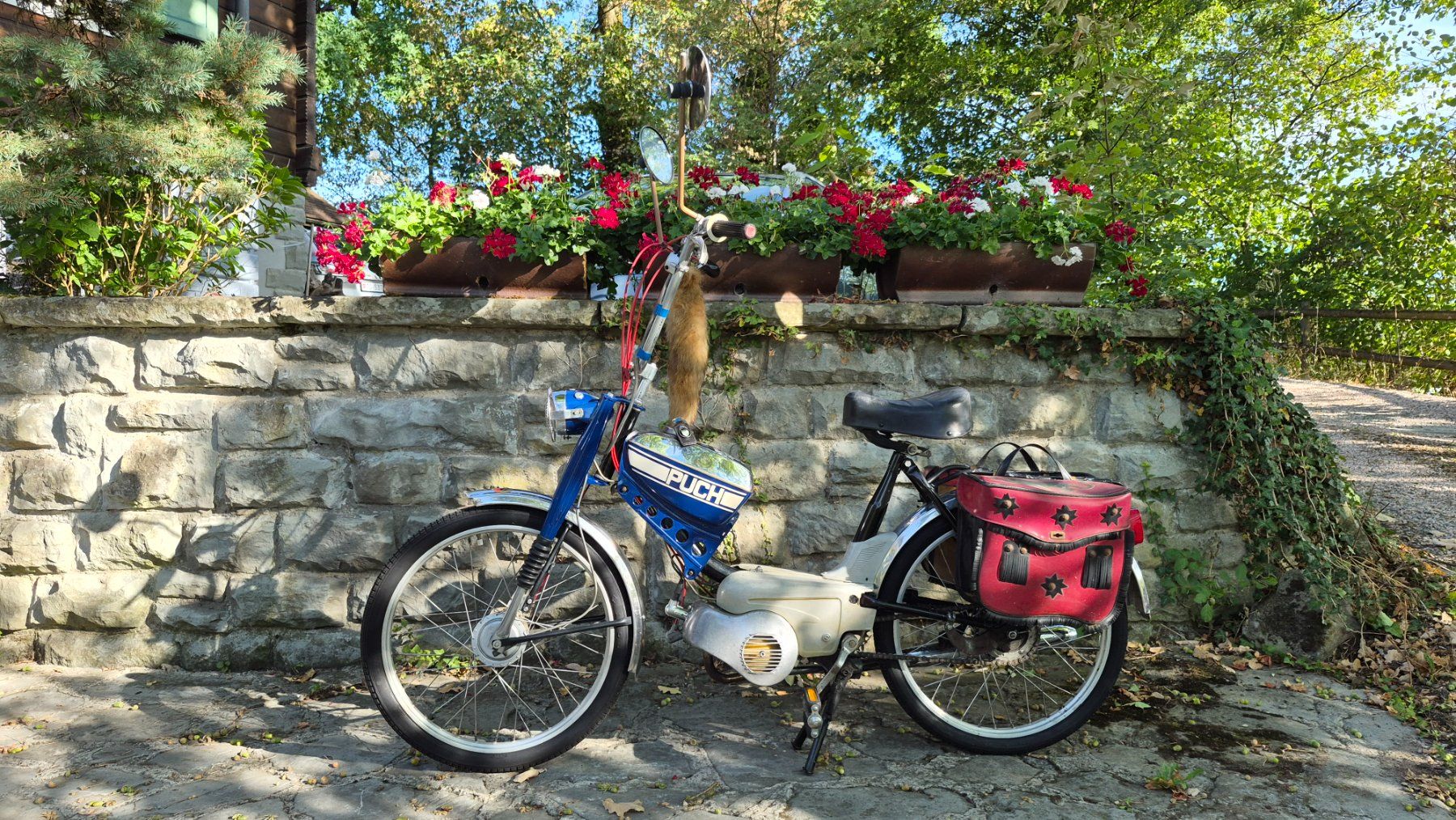 Puch Mofas: Puch X30 Velux – Gebraucht aus Buhwil von Donron0 1