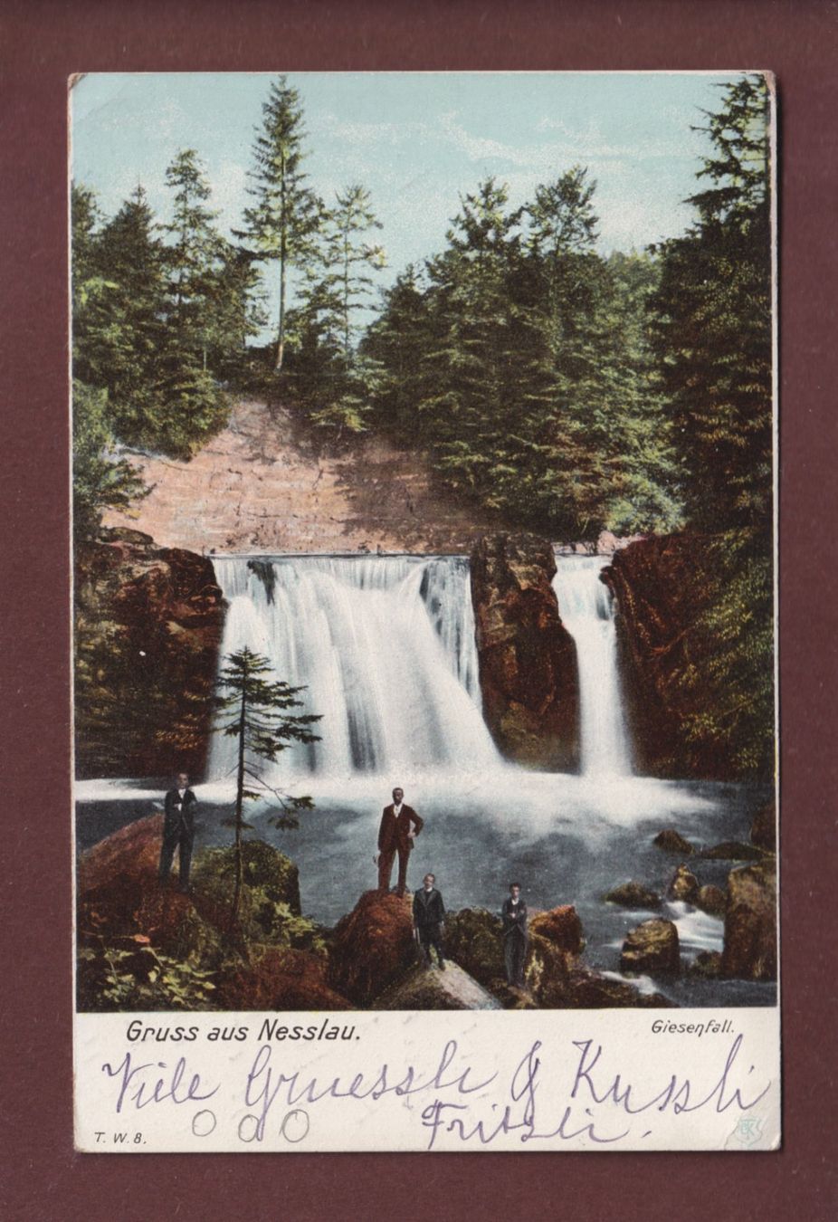 Cartoline postali: Gruss aus NESSLAU - Giesenfall - 1908 – Usato da Pully venduto da nicecards