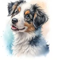 Diamond Painting Border Collie-93-40x40-126