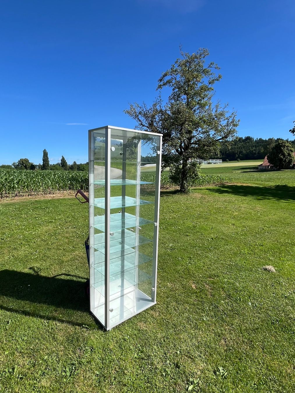 Vetrine: Glasvitrine 2 Türig – Usato da Allmendingen b. BE venduto da juair 6