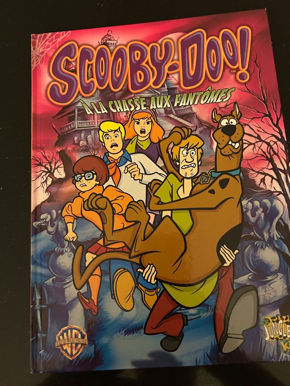 Fumetti: SCOOBY-DOO A LA CHASSE AUX FANTOMES – Usato da Genève venduto da zonzon9351