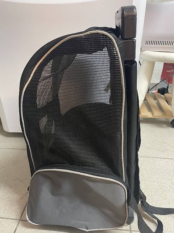 Valigie & Borse: Trixie Trolley – Usato da Giubiasco venduto da Deby01 1