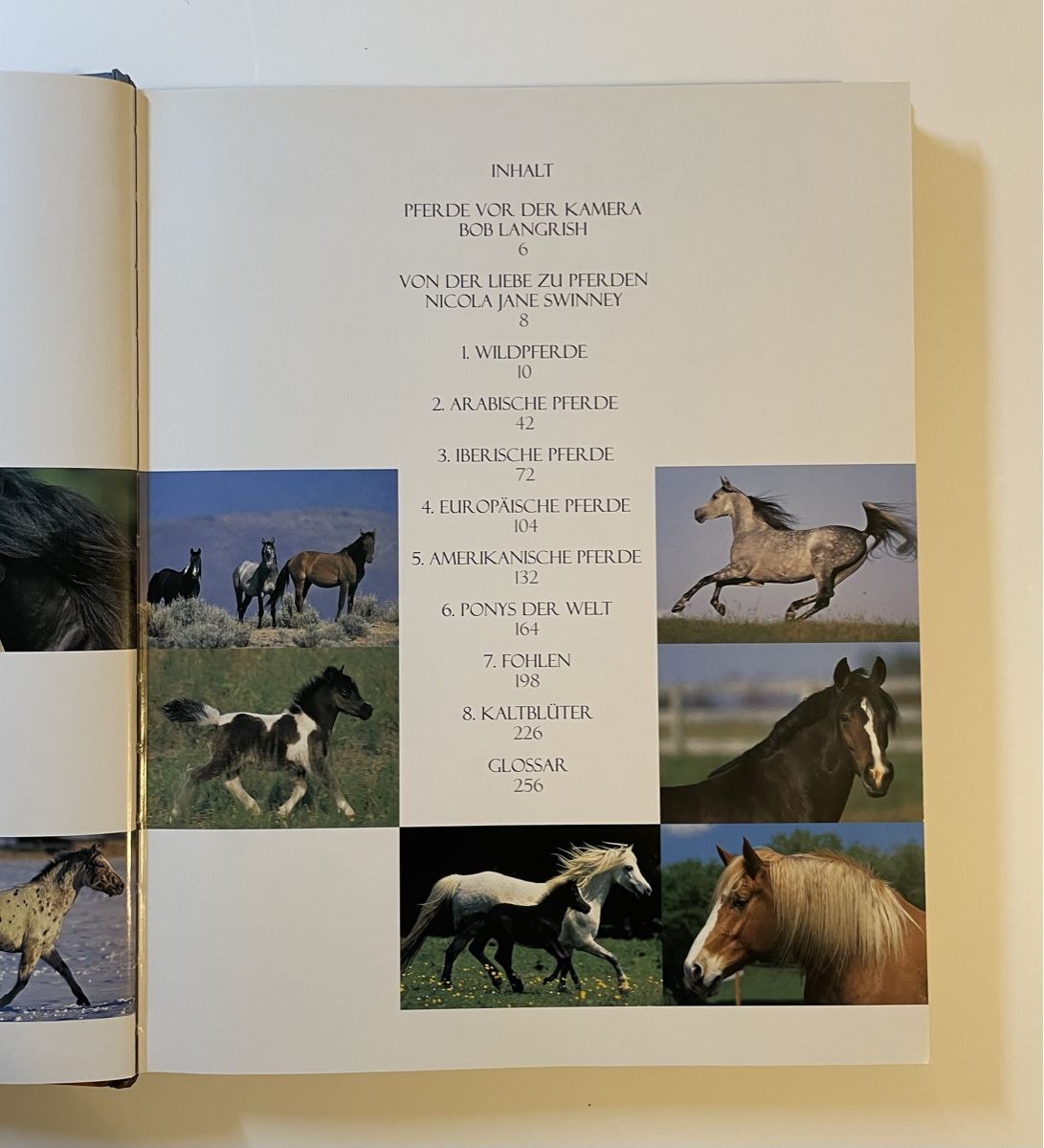 Libri: Buch Pferde - Schönes Bilderbuch – Nuovo (secondo la descrizione) da Luzern venduto da Collie_Bel 1