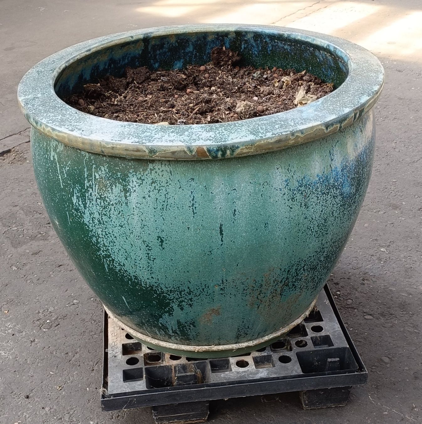 Vasi per fiori: grosser Blumentopf D: 76 cm – Usato da Däniken SO venduto da thumbnail 2