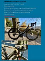 YAMAMOTO Carbon Intrepid Ivy E-Bike Handmade