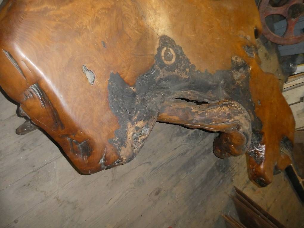 Tavoli: Salontisch Mammutbaum alt, gebraucht – Usato da Hedingen venduto da mome22 3