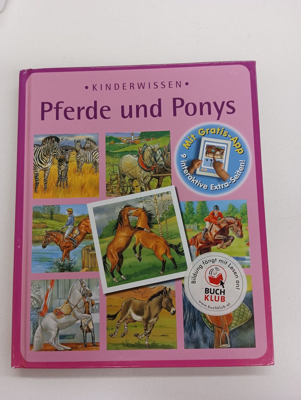 Bücher: Pferdegeschichten Bücher Konvolut – Gebraucht aus Schöfflisdorf von kin_2dp9 3