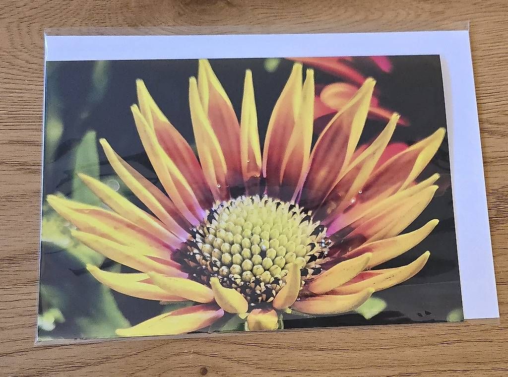 Cartes: Doppel Karte A5 NEU – D'occasion à Chur par Frei3912 4