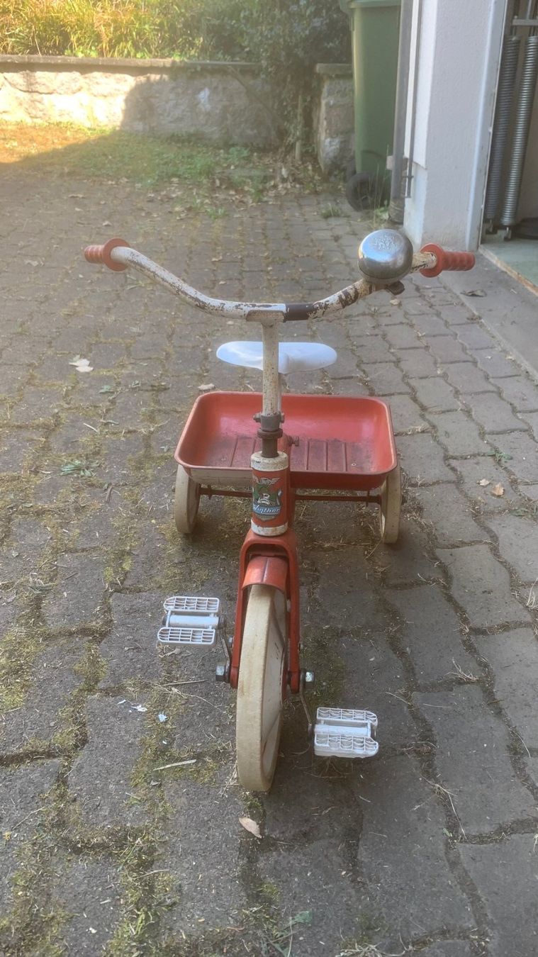 Fahrzeuge für Kinder: Dreirad – Gebraucht aus Thayngen von ivo439 2