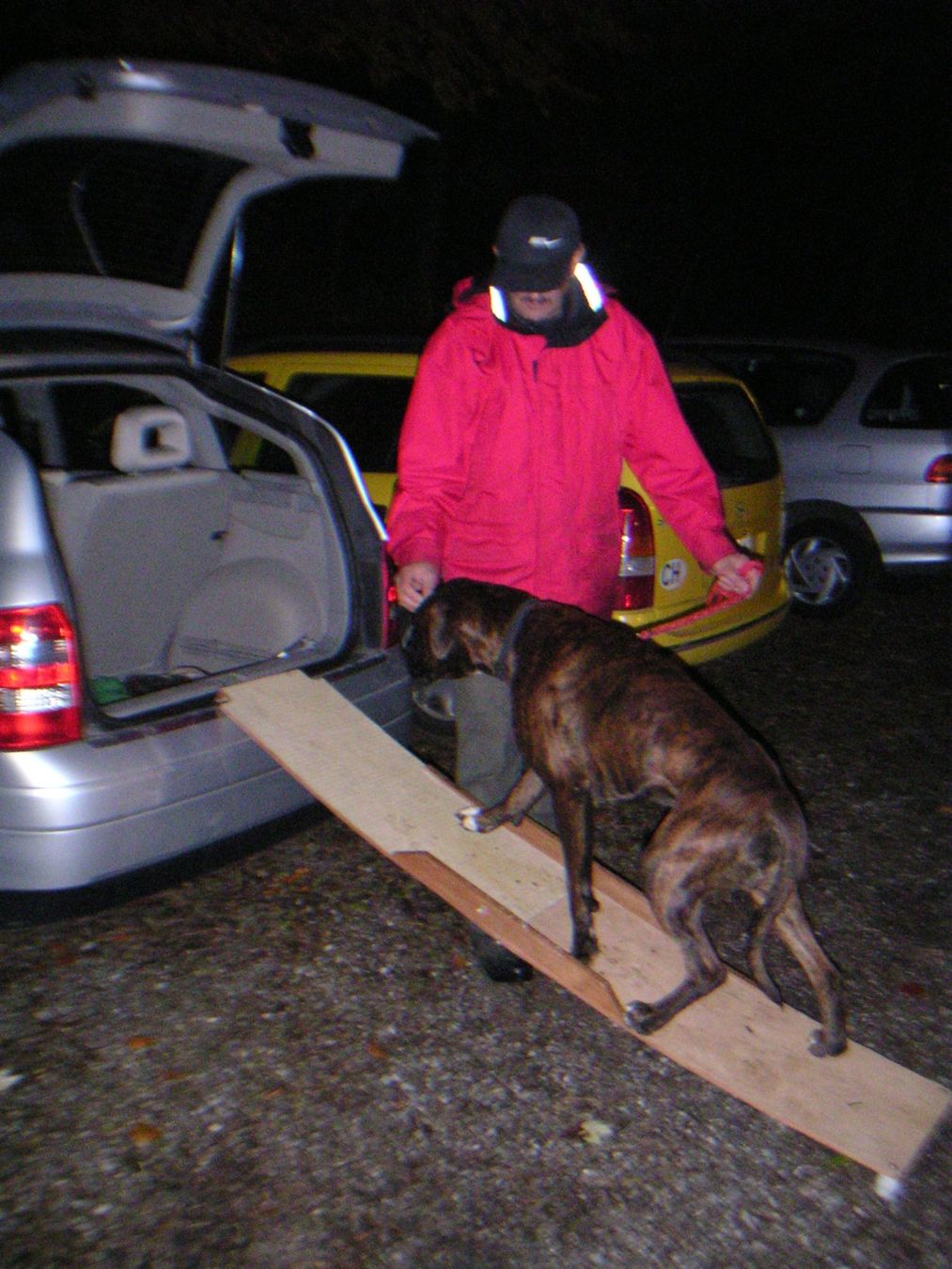 Käfige, Transport & Sicherheit: Hunde - Rampe – Gebraucht aus Bachenbülach von pwider 7