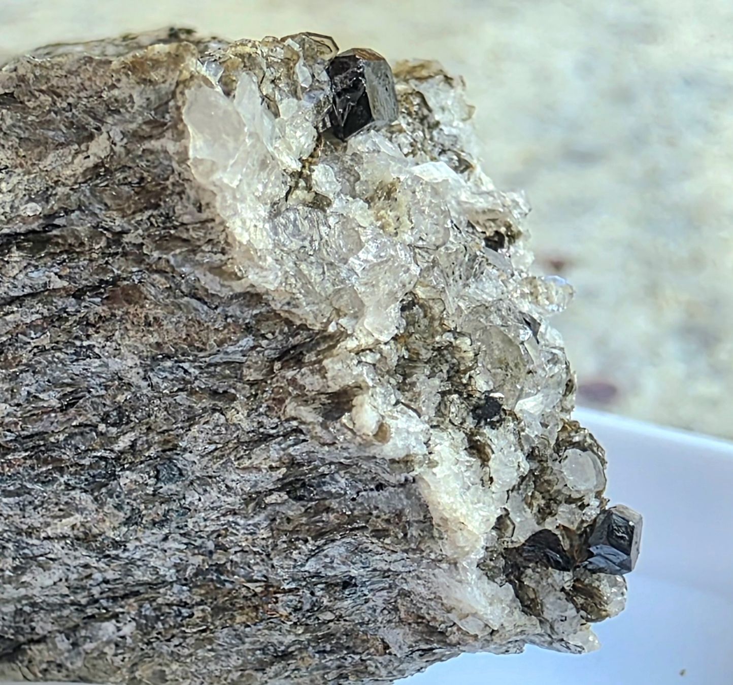 Minerali & Pietre curative: Mineralien Cervandonit mit Magnetit Rutil 3 Stufen Binntal – Usato da Glis venduto da nbu_65ys 8