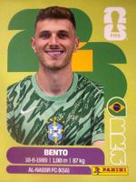 Panini BRA3