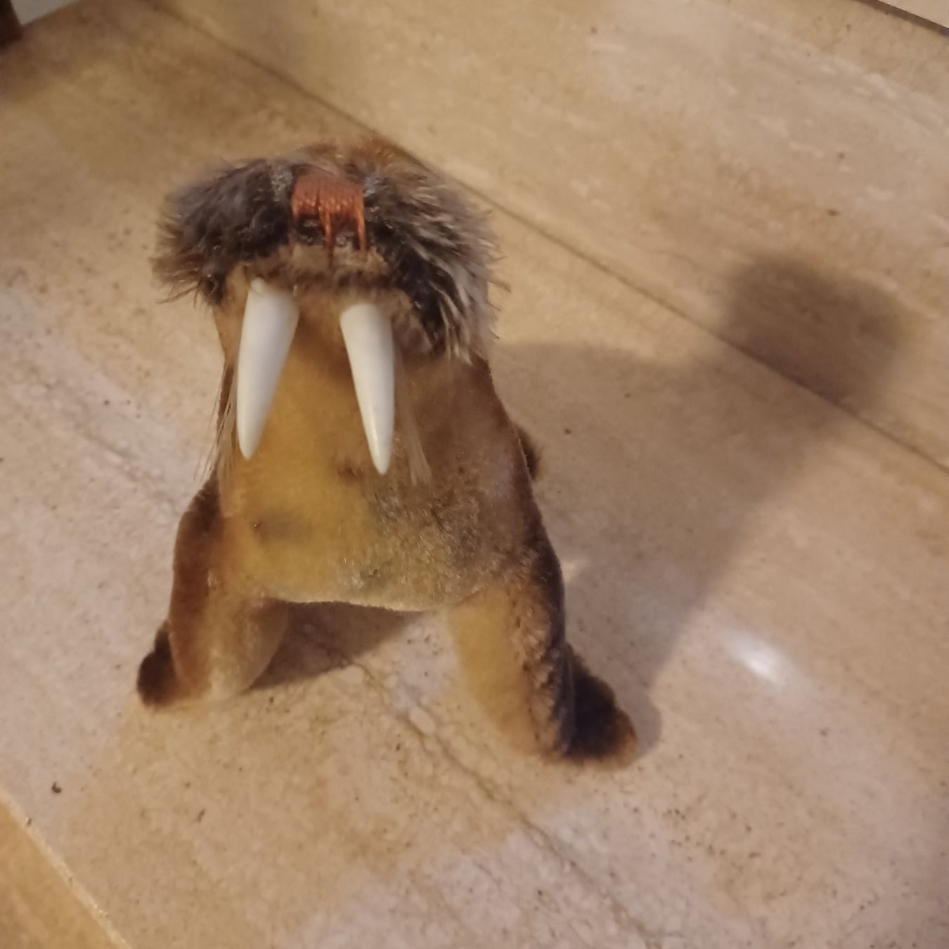 Steiff Giocattoli: Steiff Wallross 18 cm gross um 1960 – Usato da Abtwil SG venduto da luupsy 1