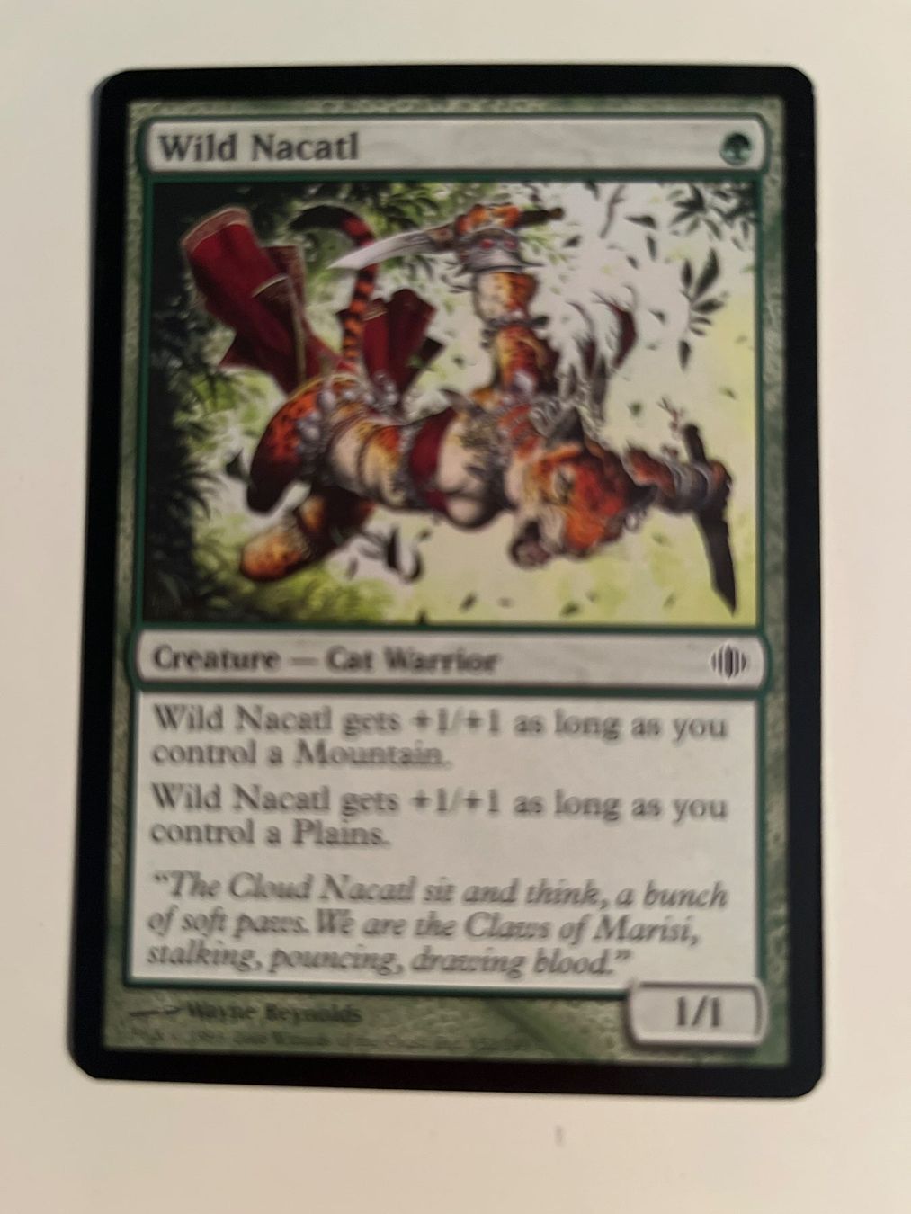 Magic The Gathering Carte collezionabili: 1 x Wild Nacatl - Magic: The Gathering - MtG – Usato da Kriens venduto da Shadi1980