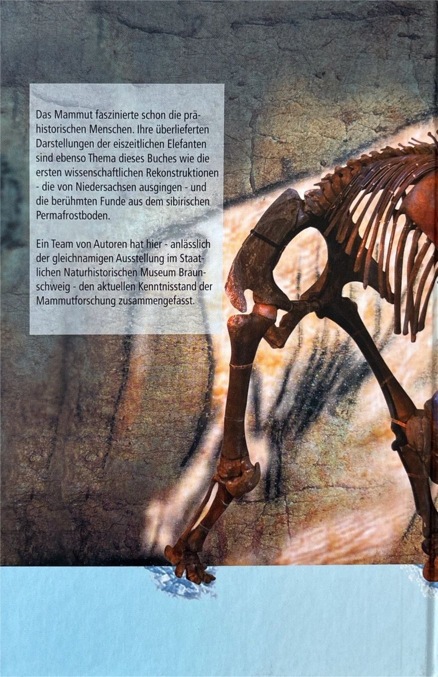 Libri: Mammut - Elefanten der Urzeit – Nuovo (secondo la descrizione) da Sarnen venduto da Livres 1