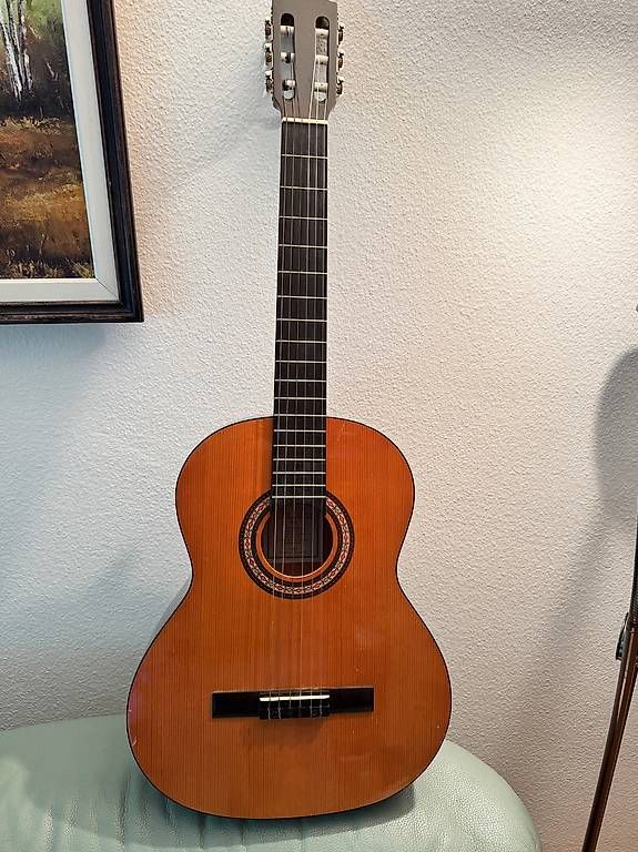 Strumenti musicali: Gitarre – Usato da Zürich venduto da Cibin