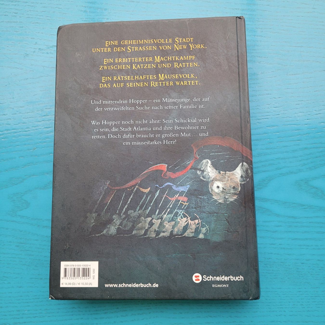 Bücher: Lisa Fiedler- Mouseheart – Gebraucht aus SCHÜBELBACH von CoKaHa 7