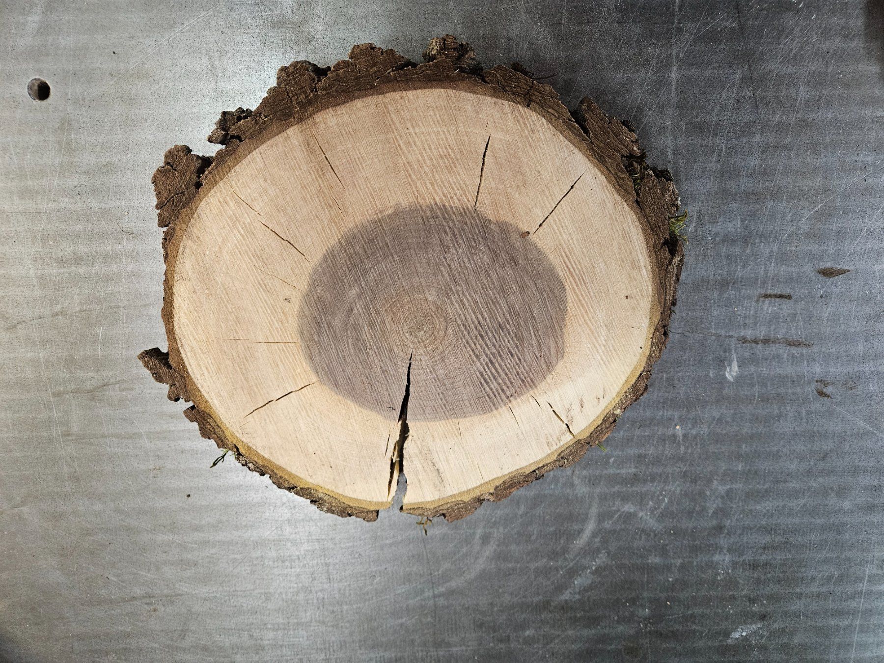 Articoli in legno: Nussbaum Holz Baumscheibe – Nuovo (secondo la descrizione) da Schangnau venduto da egli6.2 2