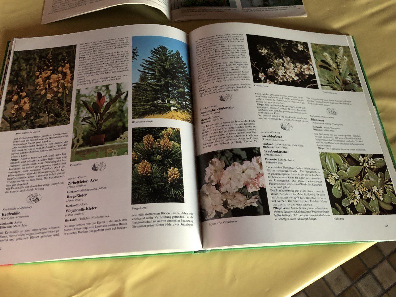 Livres: Gartenbuch – D'occasion à Winkel par Kade50 2