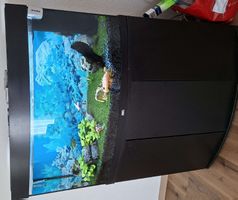Juwel Aquarium Rio 240 – Kompletteinrichtung & Zubehör 🐠