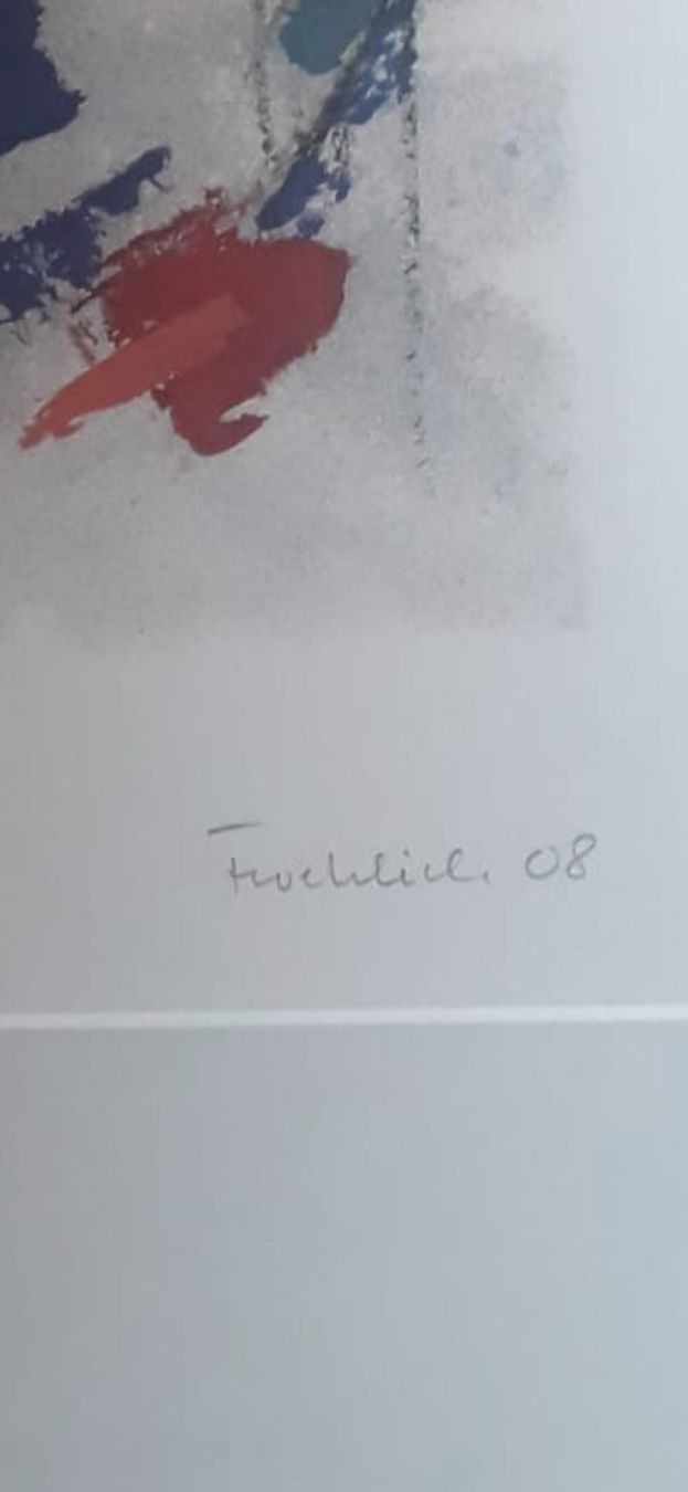 Grafica & Litografie: Lithographie Inez Froehlich 09/200 – Nuovo (secondo la descrizione) da la chaux de fonds venduto da OfficialSwiss23 3