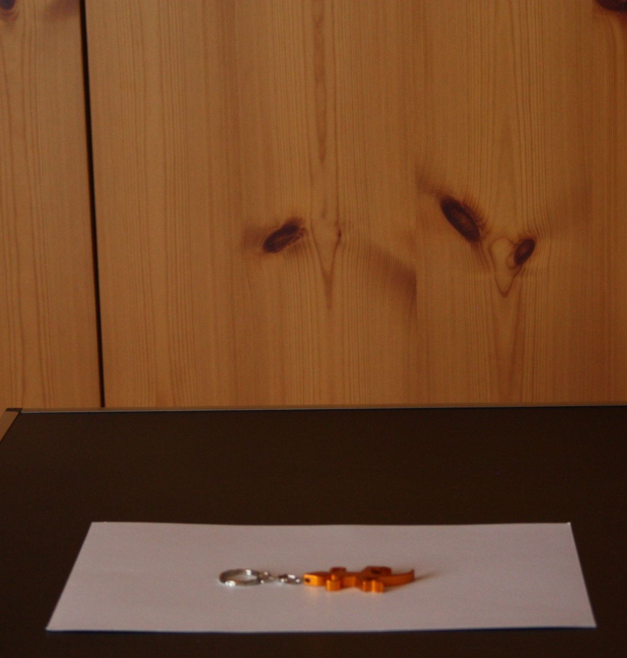 Portachiavi: Schlüsselanhänger Echse orange – Usato da Flüelen venduto da Diversicum-Shop 1