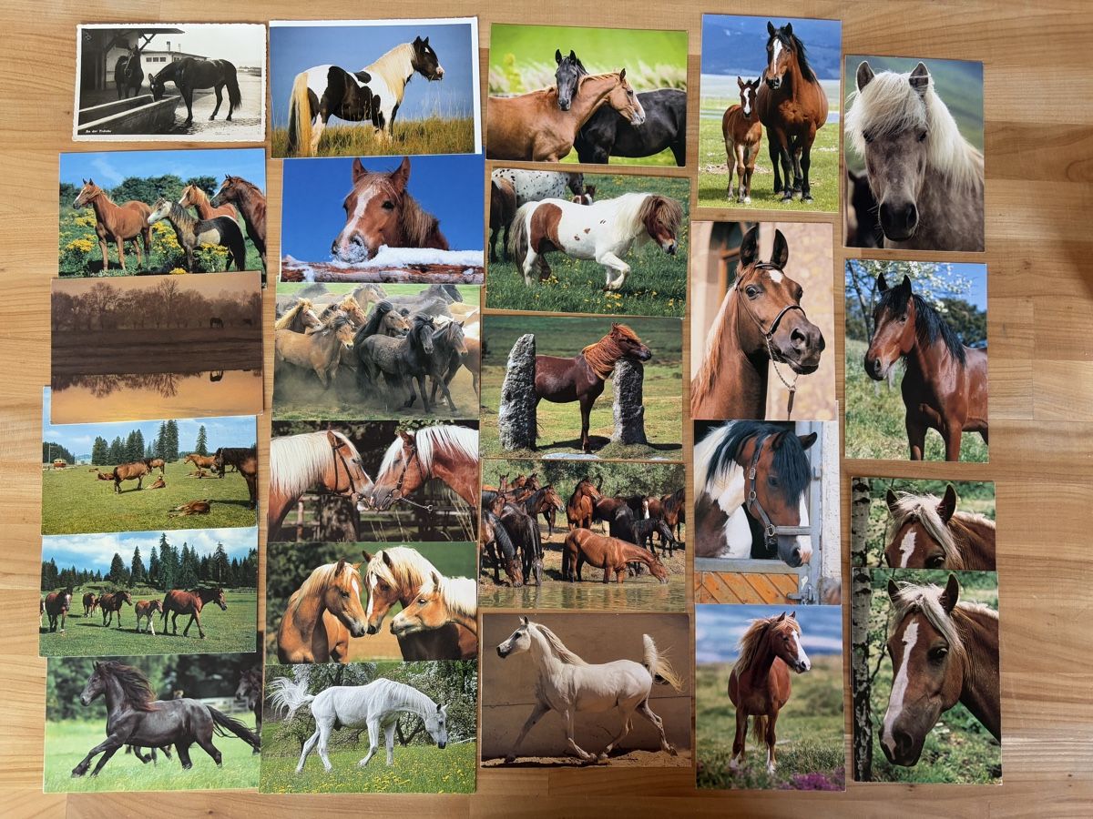 Cartoline postali: 25 AK mit Pferd Motiv – Usato da Rümlang venduto da Kartenpost1