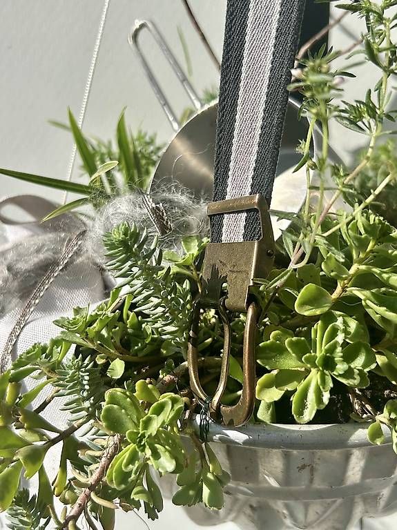 Backformen: Bepflanzte Gugelhupfform  – Neu und originalverpackt aus Frauenfeld von Irene.Schuppli 2