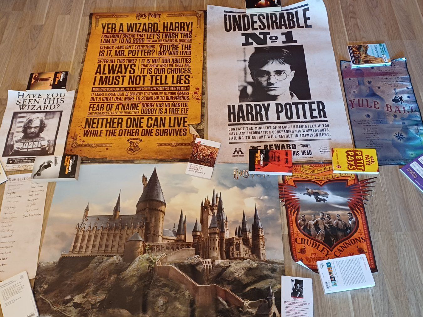 Alle Dekorationen: Lot d'objets Harry Potter – Gebraucht aus Bex von Armen01 9