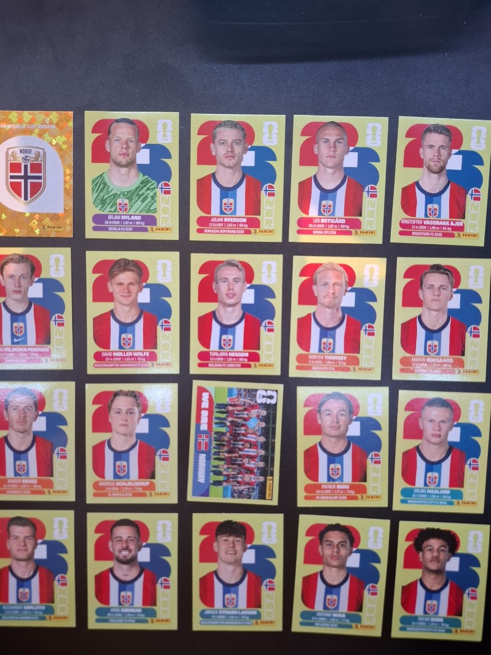 Panini Carte collezionabili: Panini ganzes Team Norwegen  – Nuovo (secondo la descrizione) da Lieli venduto da Andrin.1901