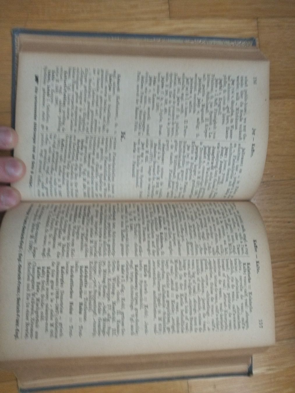 Libri: Kochbuch antik 1899 – Usato da Felben-Wellhausen venduto da bananajoe8474 3