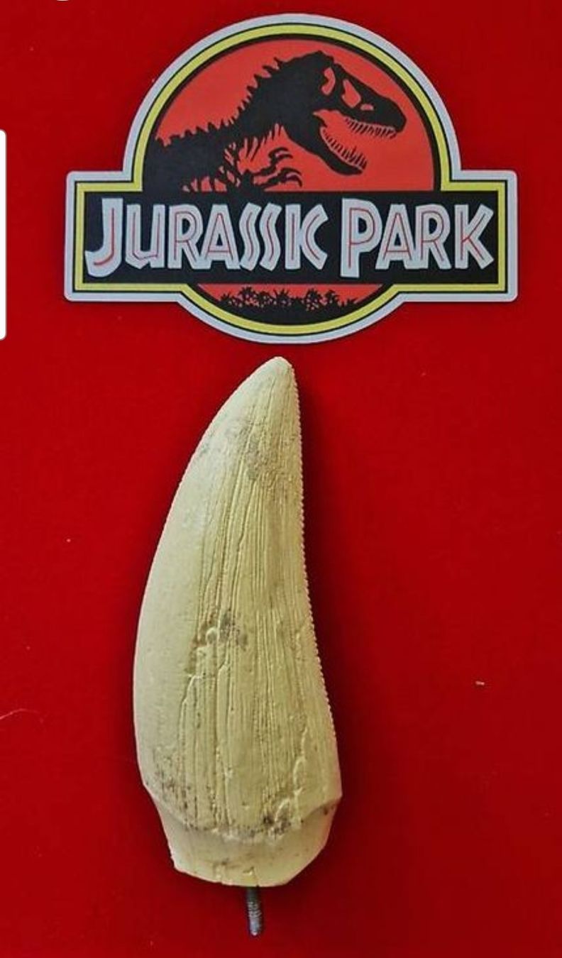 Figurines: T Rex Jurassic Park dent animatronique authentique 1993 – Neuf (Voir description) à Sembrancher par did_mkx2 1