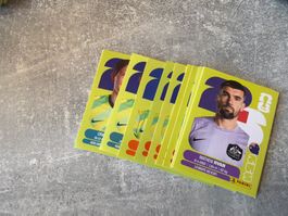 Panini AUS Bilder zum auswählen Preis gilt pro Bild