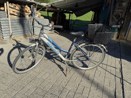 Hercules Cityfahrrad 
