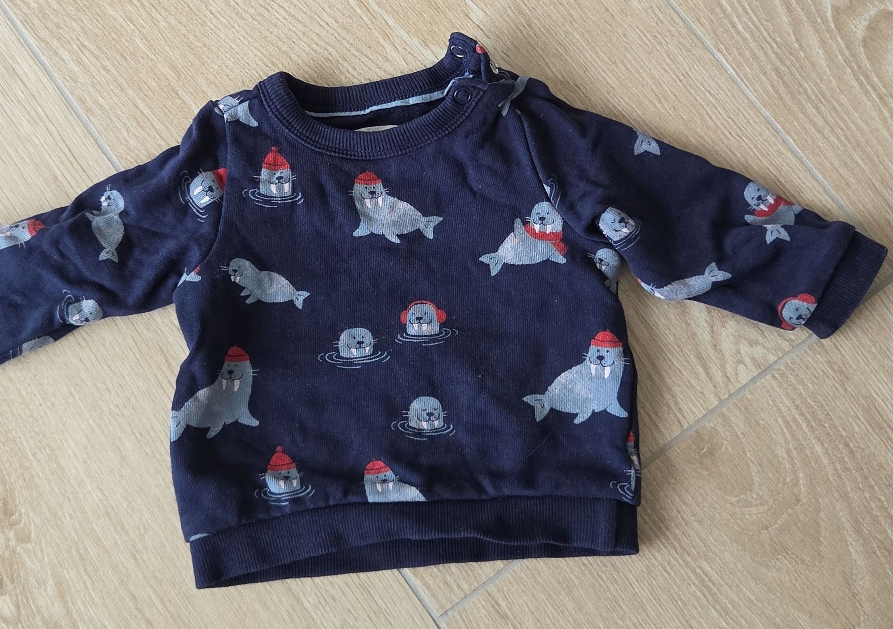 C&A Maglioni & Felpe: Pull chaud bébé (6mois/68) - Motif phoques festifs! – Usato da Neuchâtel venduto da bilao
