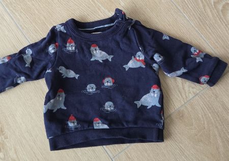 Pull chaud bébé (6mois/68) - Motif phoques festifs!