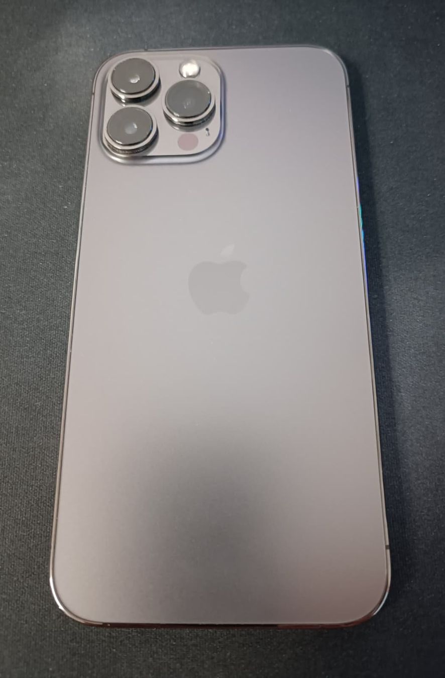 Apple Telefoni cellulari / Smartphones: iPhone 13 Pro Max - Graphit (128GB) – Usato da St. Margrethen SG venduto da pegiiii