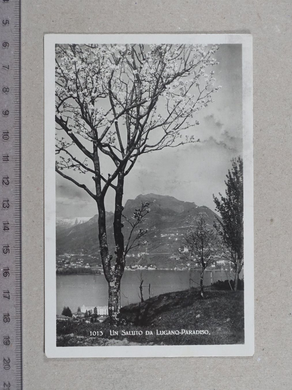 Cartoline postali: Lugano Paradiso – Usato da Lenzburg venduto da fh1