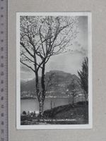 Lugano Paradiso