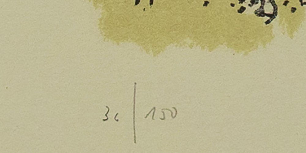 Grafica & Litografie: Celestino Piatti, Originalfarblithografie – Usato da Masein venduto da pratus 4