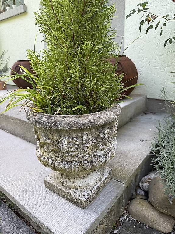 Vasi per fiori: Blumengefäss aus Beton – Usato da Rüschlikon venduto da Sonnenschein567