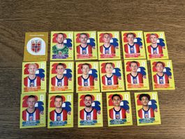 PANINI WM 2026 Bilder Norwegen NOR mit Haaland Ødegaard 