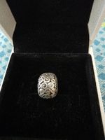 Pandora Clip