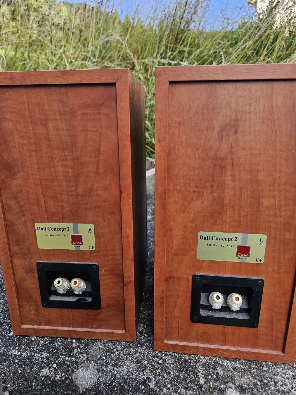Dali Casse acustiche: Lautsprecher DALI Concept 2 Regallautsprecher Kirsche 2 Stüc – Usato da Aeugstertal venduto da Levo84 4