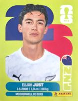 Carte FIFA World Cup 2026 NZL 18