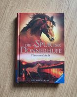 Die Spur der Donnerhufe: Flammenschlucht
