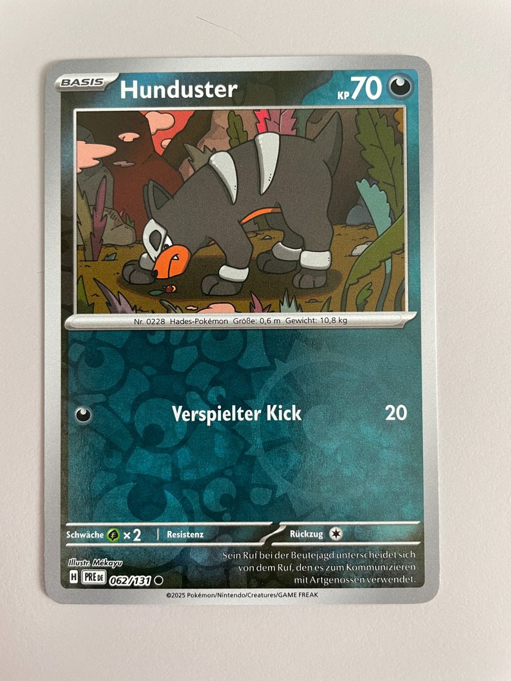 Pokémon Carte collezionabili: Pokemon Hunduster Reverse (Versand gratis) – Nuovo (secondo la descrizione) da Chur venduto da Angerson