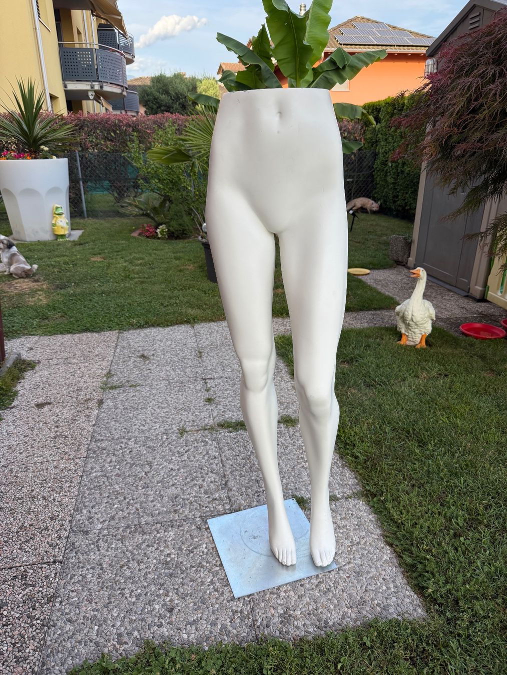 Altro in Decorazioni & Accessori: Schaufensterpuppe Beine + ständer – Usato da Cugnasco venduto da tizianaq